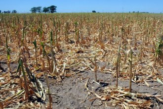 Estudio dice que la sequía en Argentina y Uruguay no fue causada por el cambio climático