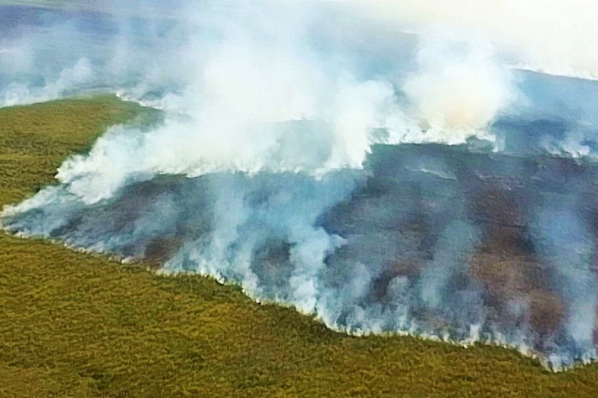 Imagen de Archivo: Incendios en el Delta.