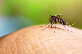 Aplican bloqueo sanitario en el centro de Paraná, por un caso autóctono de dengue