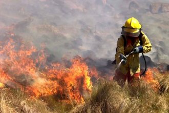 Entre Ríos y Río Negro son las únicas provincias que registran incendios activos este viernes