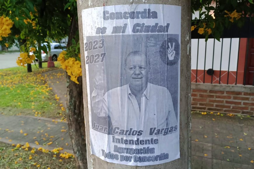 Los afiches que postulan a Vargas.