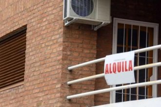 Ley de Alquileres: representantes de inmobiliarias entrerrianas quieren una reunión con senadores