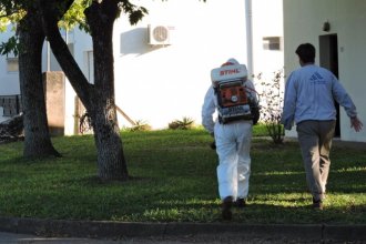 Entre Ríos, una de las provincias con dengue: se sostiene tendencia a la baja en los casos a nivel nacional
