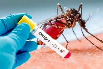 Informaron que bajó la cantidad de casos de dengue detectados en Entre Ríos