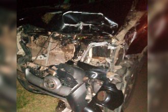 Un hombre hospitalizado, una camioneta destrozada y una vaca muerta en la ruta: consecuencias de una noche accidentada