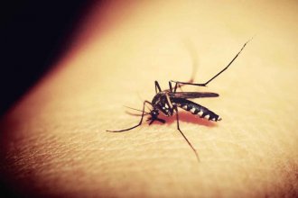 Solo dos departamentos no registraron contagios de dengue: suman 458 los casos en la provincia