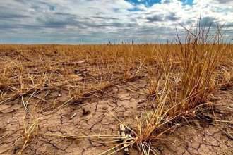 La Federación Agraria denunció las “tibias medidas” adoptadas por el gobierno provincial ante la sequía