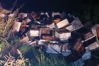 100 cajones de colmenas salieron despedidos en un vuelco y se escaparon las abejas