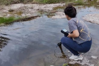 Un grupo de investigadores detectaron 26 plaguicidas en un arroyo entrerriano