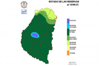 De sequía a “óptimas condiciones de humedad”: la Bolsa de Cereales destaca la mejora de reservas hídricas