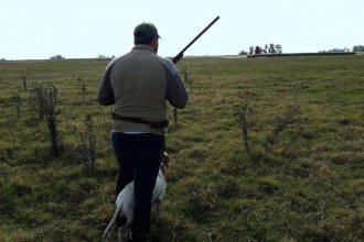 Provincia habilita caza menor con cambios: “Menos especies, mayores restricciones y sustento científico”