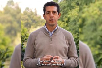 Con un video en redes, “Wado” de Pedro confirmó su precandidatura a presidente