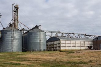 2 mil toneladas de maíz, soja y trigo: la producción que incautó AFIP en Entre Ríos