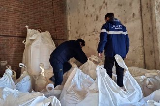 Aduanas frenó “exportación trucha” de 30 toneladas de maíz partido en la costa del Uruguay