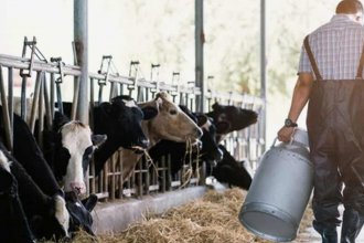 Lanzan la segunda etapa del programa “Impulso Tambero”, destinado a pequeños y medianos productores lecheros