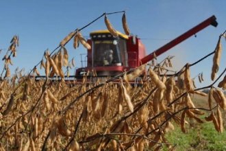 “La peor campaña”: así catalogó la Bolsa de Cereales a la cosecha de soja 2022-23 en la provincia