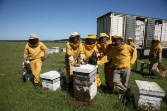 “Cada tres tambores que el productor vende, dos se queda el Estado”; reclaman apicultores de Concordia