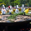 Debido a la propagación de una enfermedad, ciudad entrerriana suspendió la Fiesta Nacional de la Avicultura