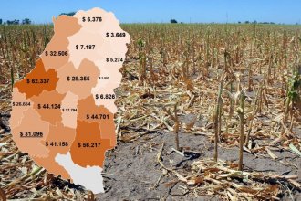 La Bolsa de Cereales afirma que las pérdidas por la sequía en Entre Ríos ascienden a 570 millones de dólares