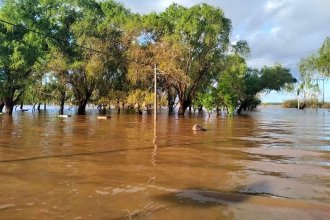 En Colón ya son más de 40 las familias evacuadas, mientras el río Uruguay continúa en ascenso