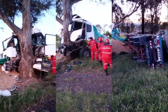 El acoplado se soltó, la cabina del camión chocó de frente un árbol, pero el conductor pudo salir casi ileso