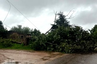 El temporal también provocó destrozos en el sur entrerriano