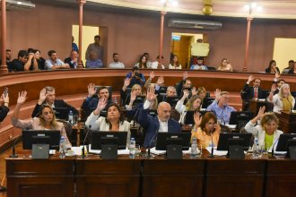 Diputados justicialistas buscan resguardar a pequeñas empresas, cooperativas y consumidores ante las medidas del gobierno nacional