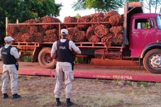 <i>Nicotina líquida</i>: secuestraron tabaco que iban a transportar en balsas por el río Uruguay