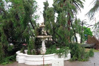 Casi 60 familias asistidas y más de 200 árboles caídos: el saldo de la tormenta en ciudad entrerriana