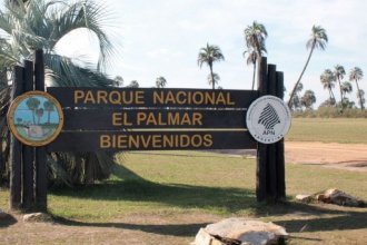 Trabajadores del Parque Nacional El Palmar se oponen al uso de agrotóxicos para controlar especies exóticas