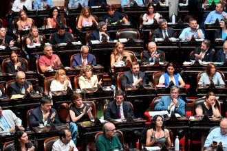 “Esta ley no va a contribuir en nada”: cómo votaron los diputados entrerrianos y sus palabras tras la sesión