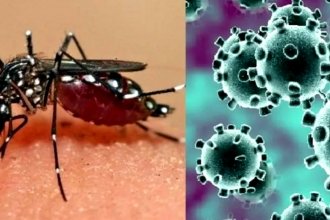 Entre Ríos sumó 138 nuevos casos de dengue y casi un centenar de Covid, en la última semana