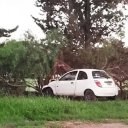 Conductora chocó contra un árbol: el acompañante murió y ella fue hospitalizada