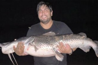 Pescó un surubí de 40 kilos en aguas del río Uruguay: “Tuvimos una hora de pelea”