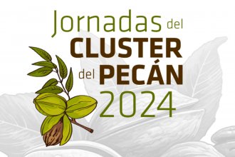 Habrá disertantes de Argentina, Estados Unidos, Brasil, Uruguay, Perú y México en las Jornadas del Cluster del Pecán