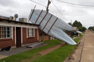La Municipalidad atiende demandas tras la tormenta: hubo árboles caídos, voladuras de chapas y daños en el Polideportivo