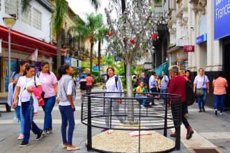 Concejales decidieron quitar de la peatonal el “Árbol de la Vida” que había confeccionado Juan Carlos Cresto