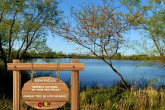 Para darle valor legal, presentan proyecto de ley que busca crear la Reserva Provincial Río de los Pájaros, en Colón