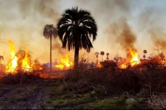 ONG denunció quemas y desmonte en el corazón de lo que iba a ser el tercer parque nacional entrerriano