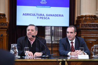 Alfredo De Angeli presidirá la Comisión de Agricultura, Ganadería y Pesca