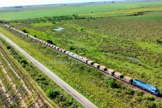 Docena de vagones cargados de madera descarrillaron en su paso por Entre Ríos