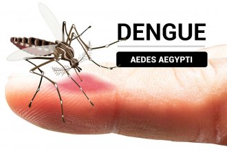 En plena epidemia, en Concordia habrá una conferencia sobre dengue