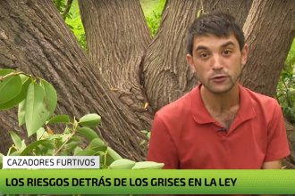 La TV nacional mostró el negocio de la caza y lo que pasa con las aves autóctonas que matan en Entre Ríos