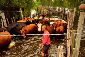 Aumento "desmedido" de una tasa provoca malestar entre ganaderos en un municipio entrerriano