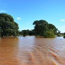 Empieza a notarse el descenso del río Uruguay, aguas abajo de la represa de Salto Grande