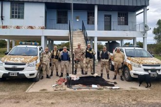 Delitos rurales en la provincia: incautaron 24 armas durante el fin de semana