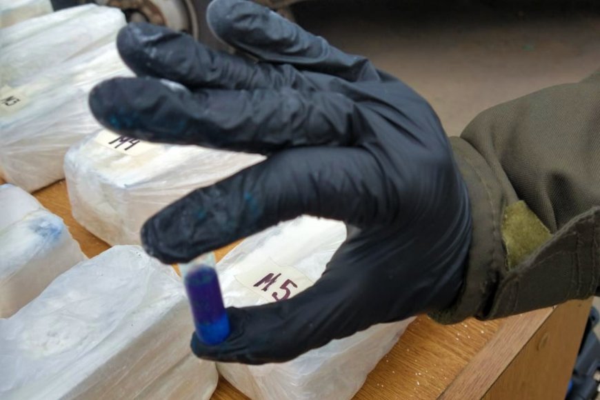1100 pastillas de éxtasis llevaba una mujer.