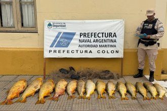 Freno a la pesca ilegal: secuestraron 14 dorados y una red de espera valuados en más de 2 millones de pesos