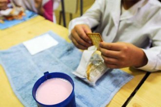 Cuánto cuesta por mes la “copa de leche” para los comedores escolares e infantiles de Entre Ríos