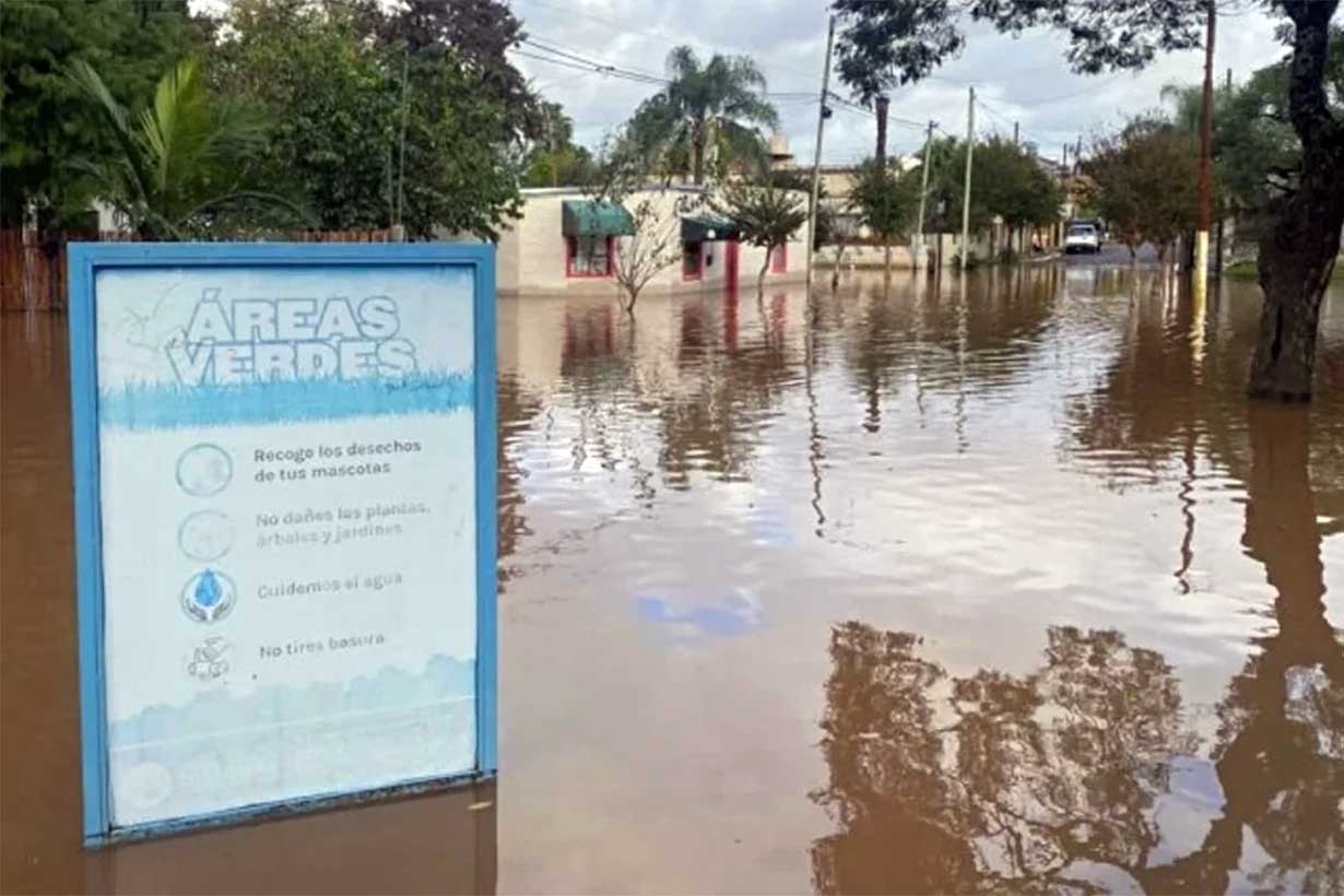 La inundación, contada por estudiantes